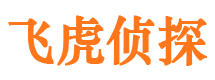 中江市私家侦探